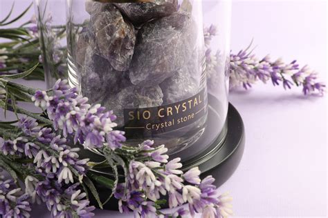 菩提石功效|SIO Crystal希奧水晶│菩提根的文化意義：介紹菩提根在不同文化。